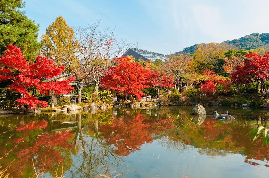 Maruyama-Park